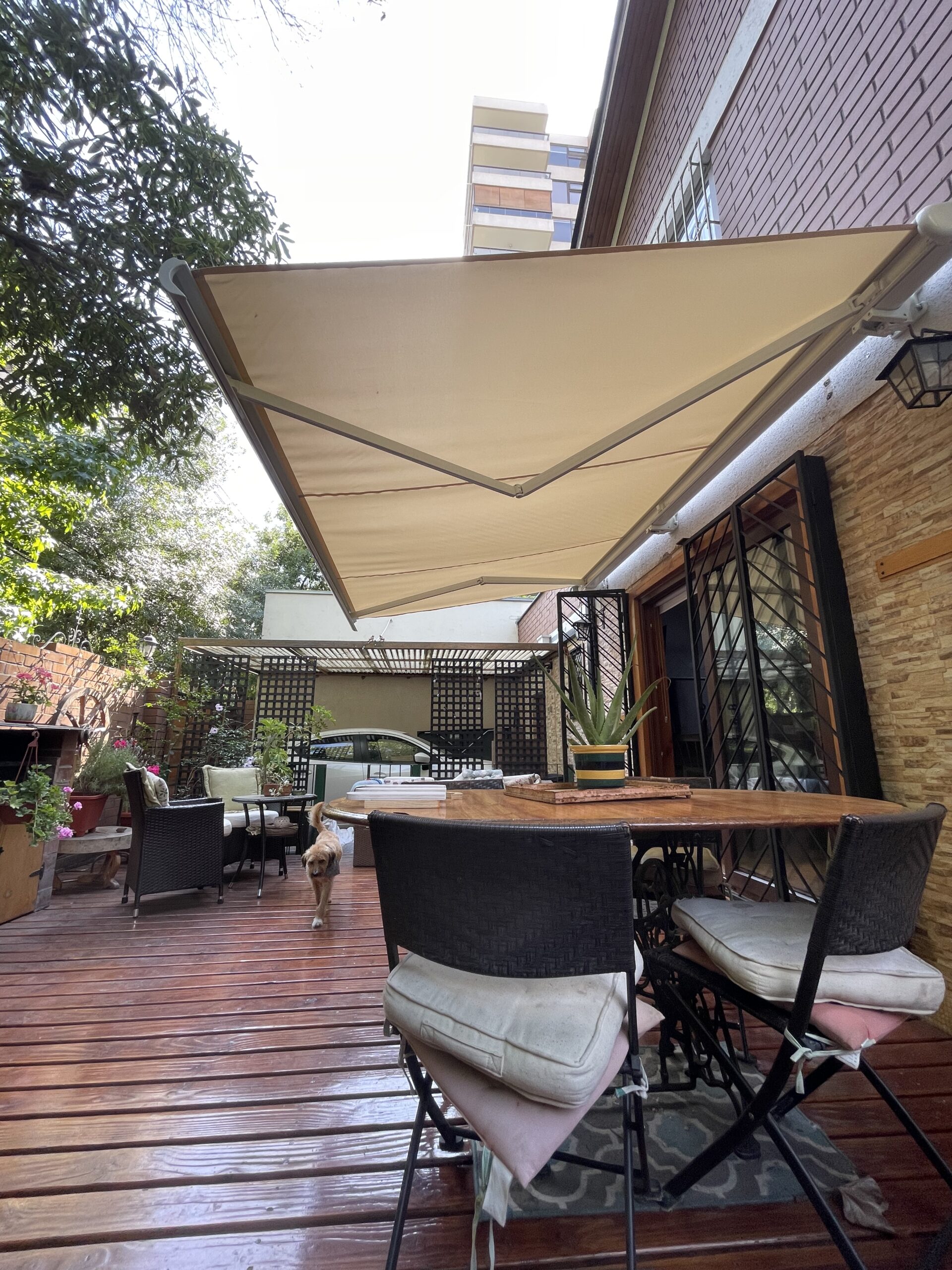 Terraza de departamento moderna con cierre de cristal plegable, amoblada con sofá. Terraza protegida del clima.